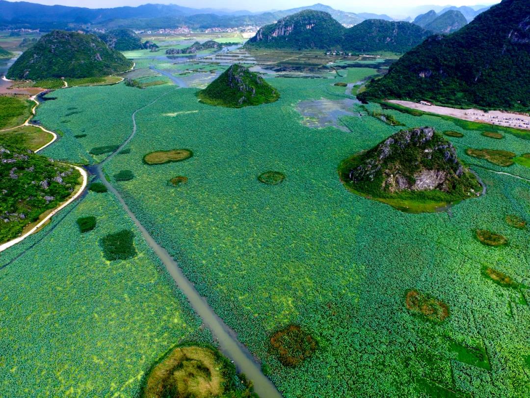 加強(qiáng)農(nóng)村生態(tài)文明建設(shè) 推動(dòng)鄉(xiāng)村高質(zhì)量發(fā)展（光明網(wǎng)）